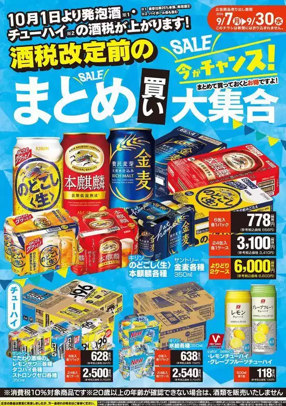 main_flyer image
