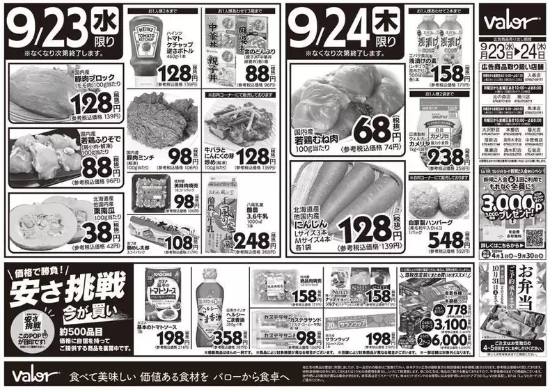 main_flyer image