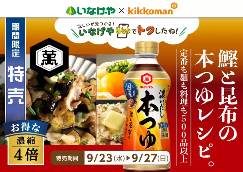 main_flyer image