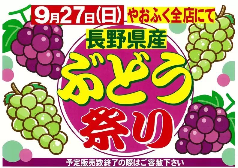 main_flyer image