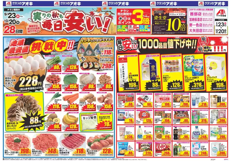 main_flyer image
