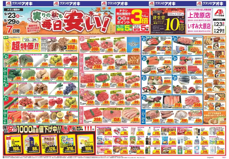 小海町でのクスリのアオキのカタログ | すべてのお客様のためのトップディール | 2026-09-23T00:00:00.000Z - 2026-09-29T00:00:00.000Z