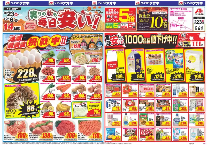 小海町でのクスリのアオキのカタログ | 豊富なオファーの選択 | 2026-09-23T00:00:00.000Z - 2026-10-06T00:00:00.000Z