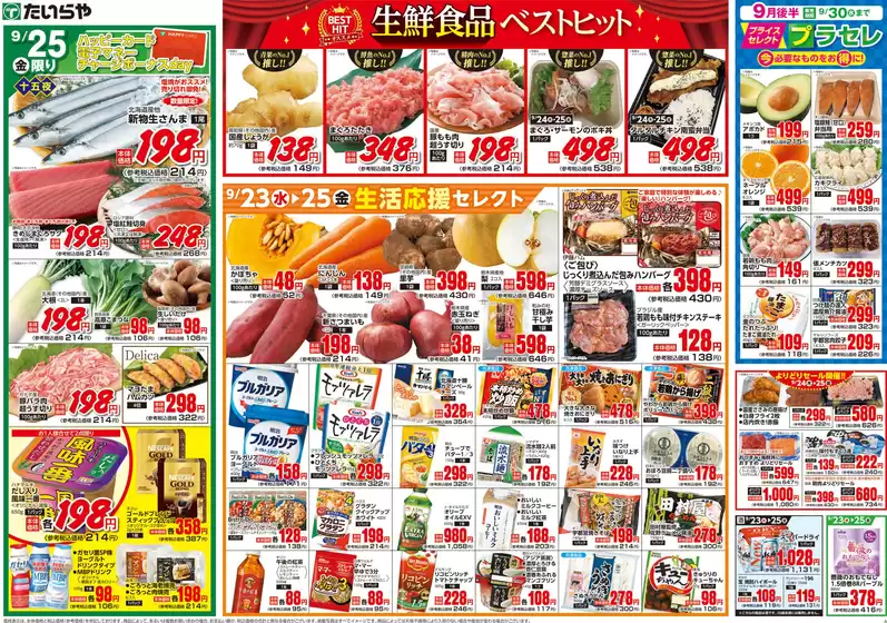 main_flyer image