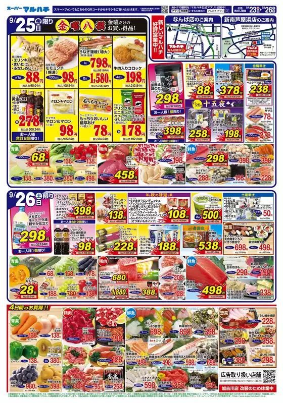 main_flyer image