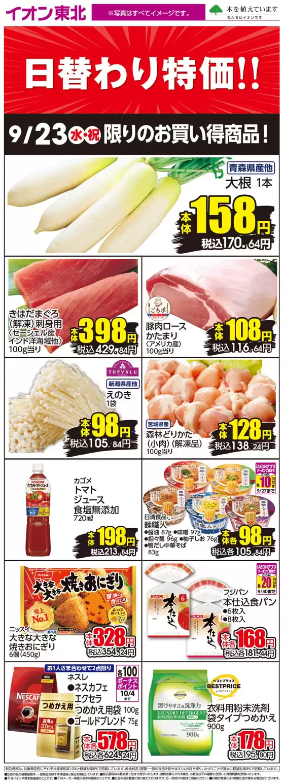 main_flyer image