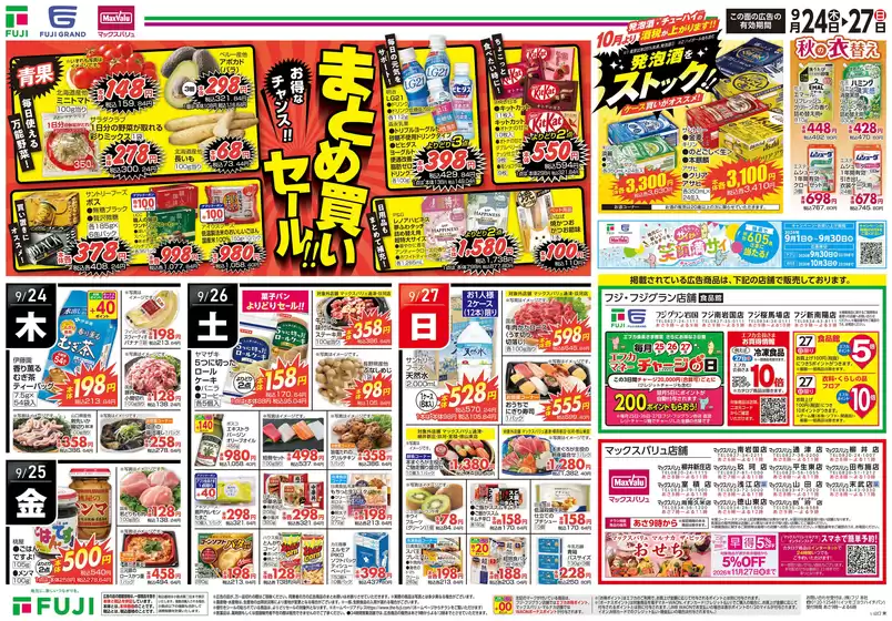 main_flyer image