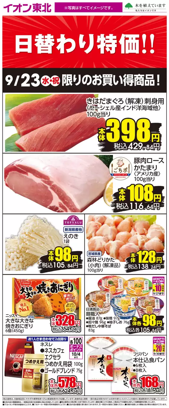 main_flyer image