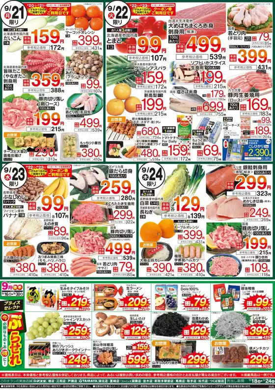 main_flyer image
