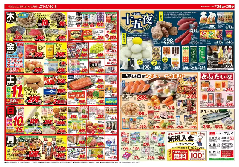 main_flyer image