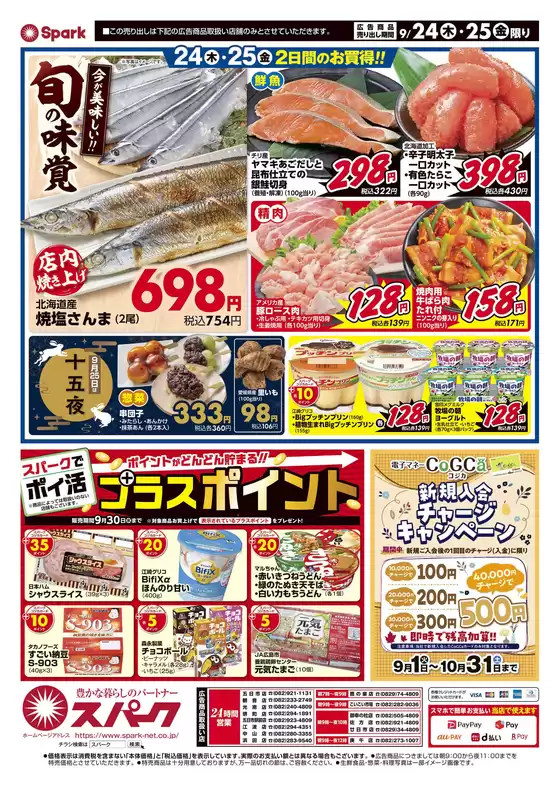 main_flyer image