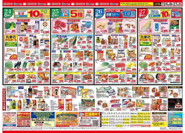 main_flyer image