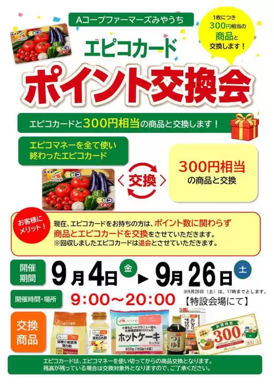 main_flyer image