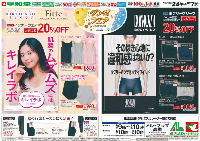 main_flyer image
