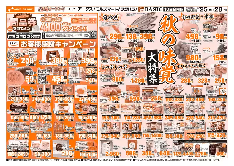 main_flyer image