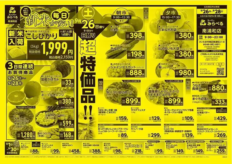 main_flyer image