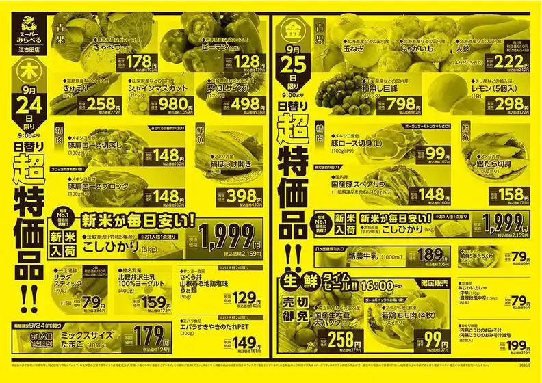 main_flyer image