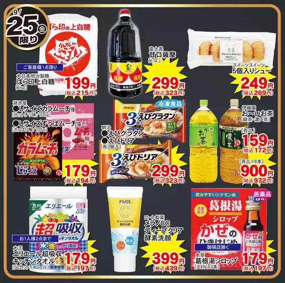 main_flyer image
