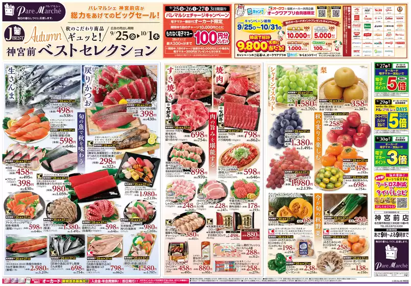 オークワのカタログ | 発見するための新しいオファー | 2026-09-24T00:00:00.000Z - 2026-10-01T00:00:00.000Z