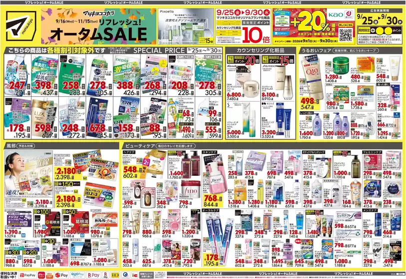 main_flyer image