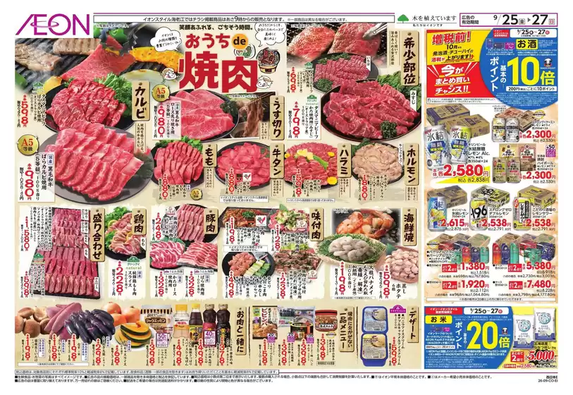 main_flyer image