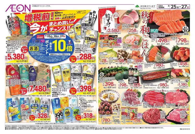 main_flyer image