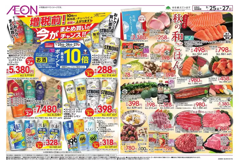 main_flyer image
