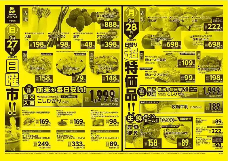 main_flyer image
