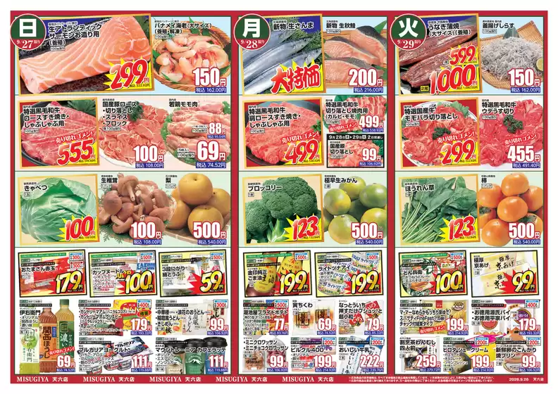 main_flyer image