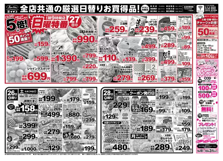 main_flyer image