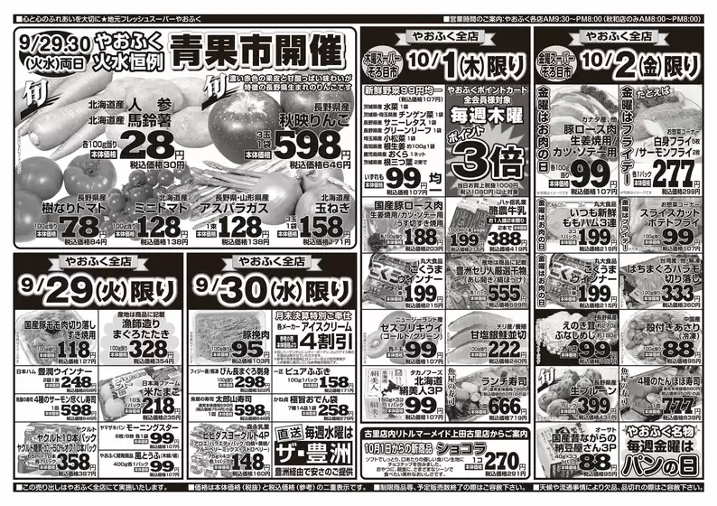 main_flyer image