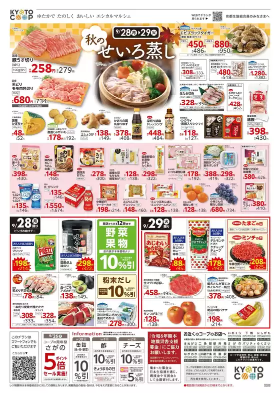 main_flyer image