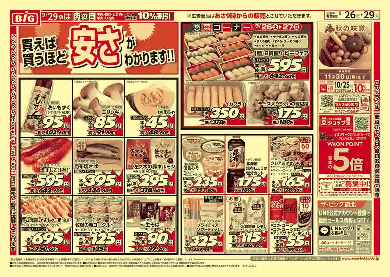 main_flyer image