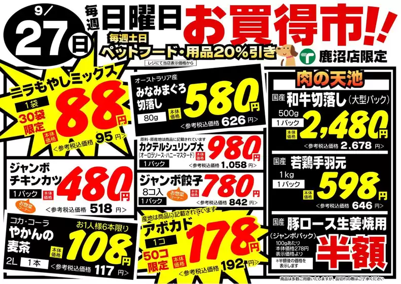 main_flyer image
