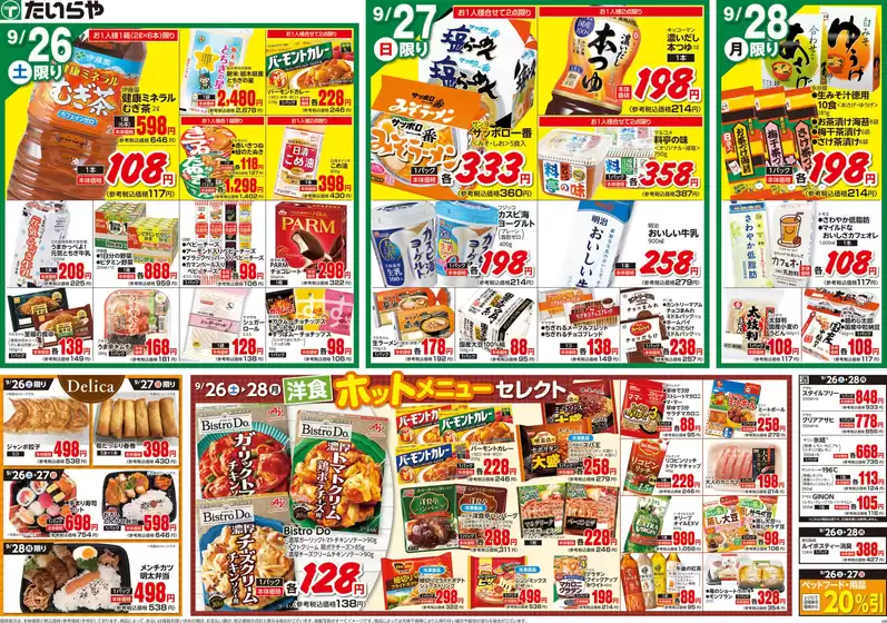 main_flyer image