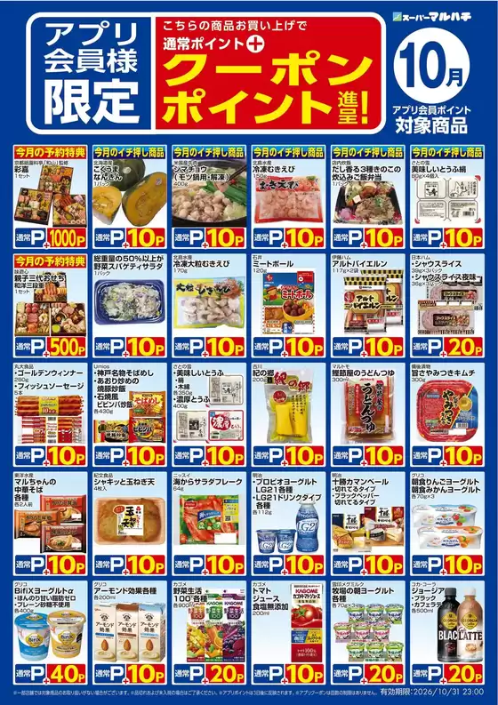 国分寺市でのマルハチのカタログ | 10月アプリクーポン | 2026-09-25T00:00:00.000Z - 2026-10-31T00:00:00.000Z