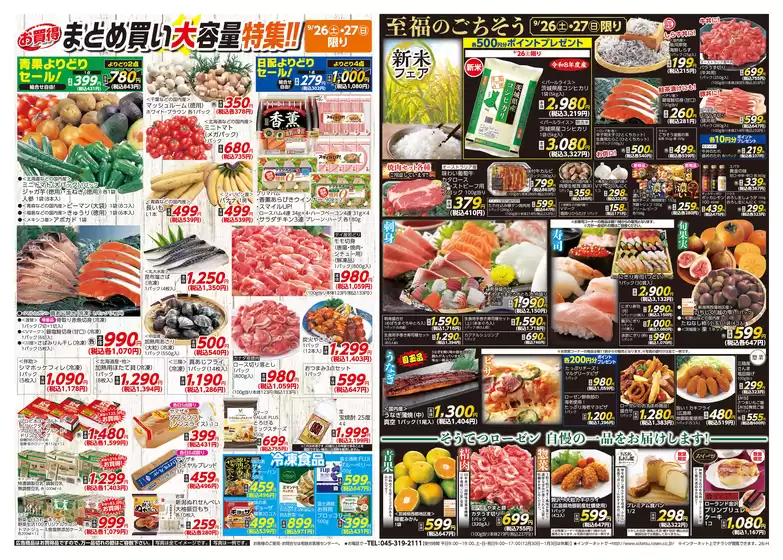main_flyer image