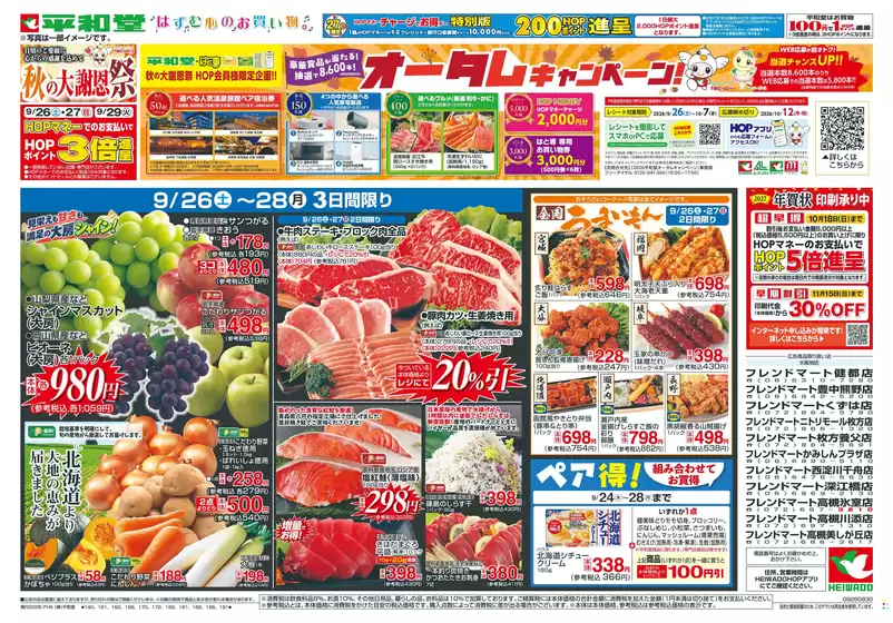 main_flyer image