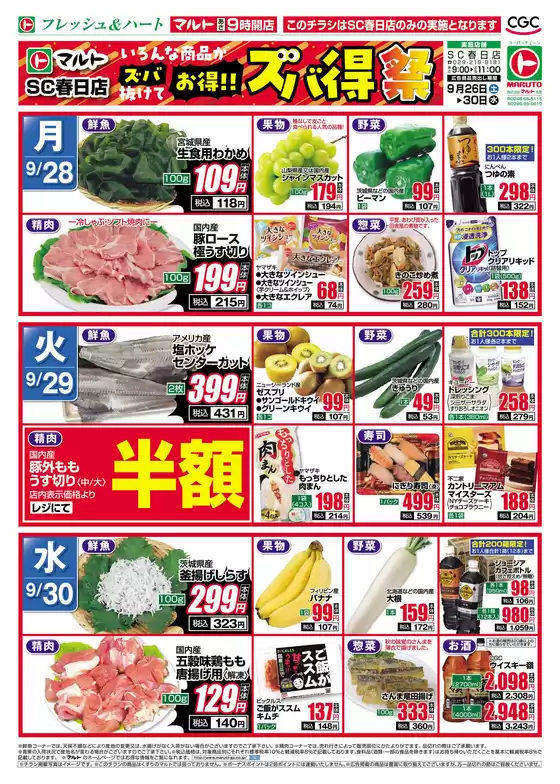 main_flyer image