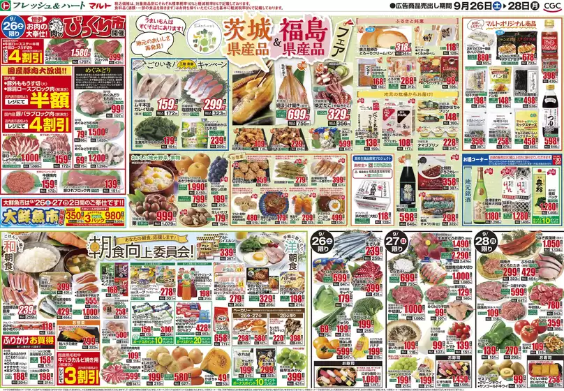 main_flyer image
