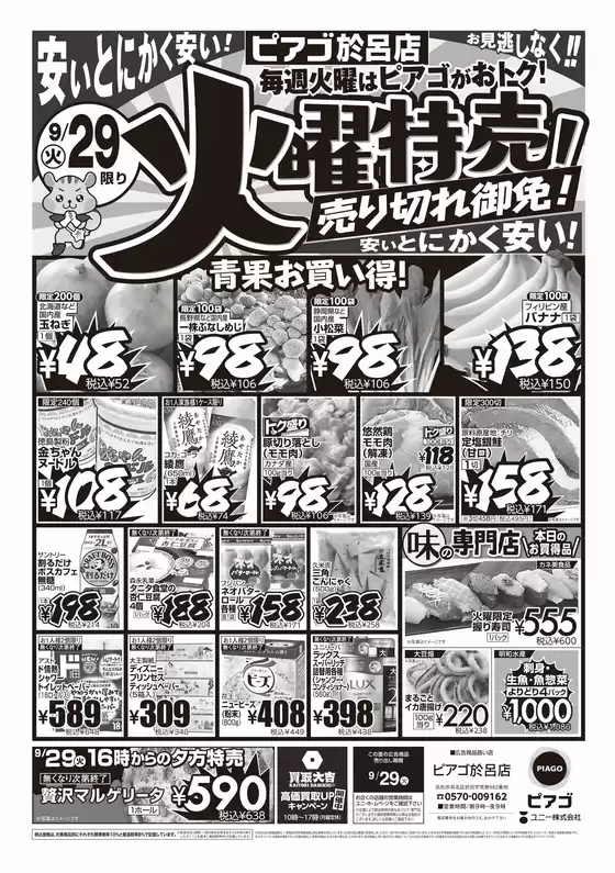 main_flyer image