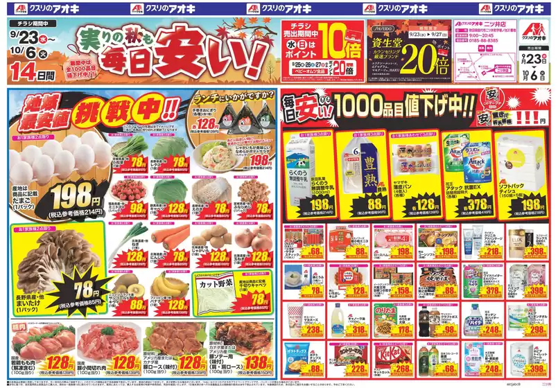 main_flyer image