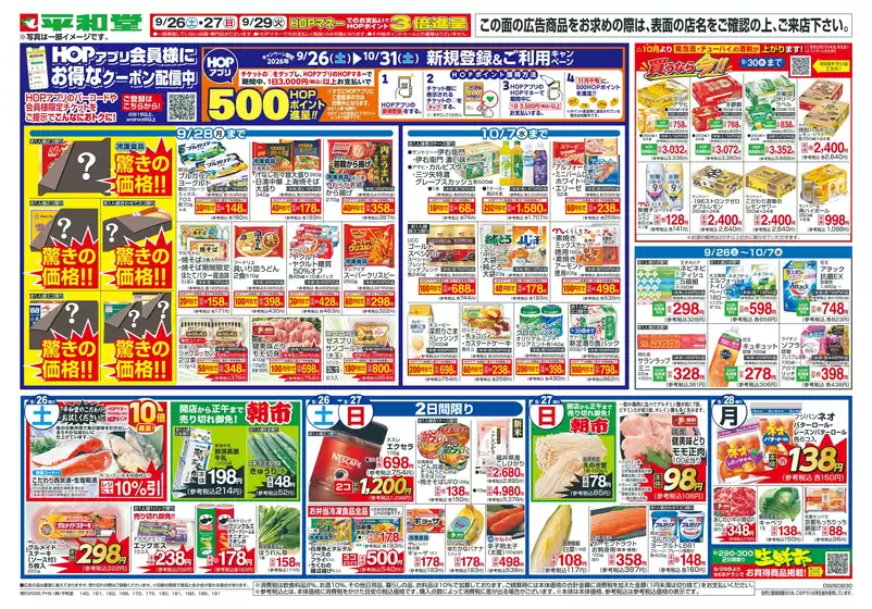 main_flyer image