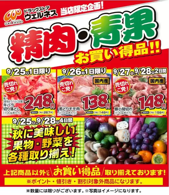 ウェルネスのカタログ | 925928 ウェルネス生鮮LINEチラシ-12 | 2026-09-24T00:00:00.000Z - 2026-09-28T00:00:00.000Z