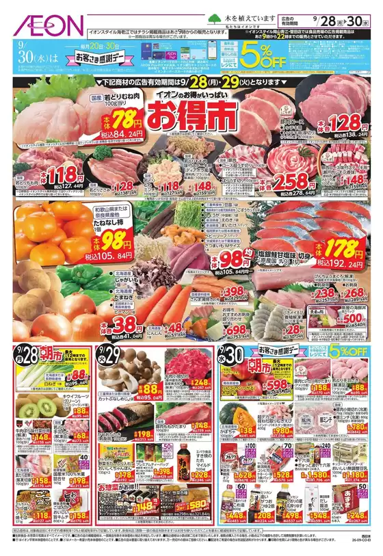 main_flyer image