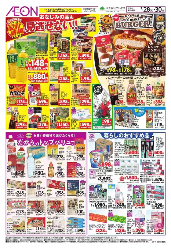 main_flyer image