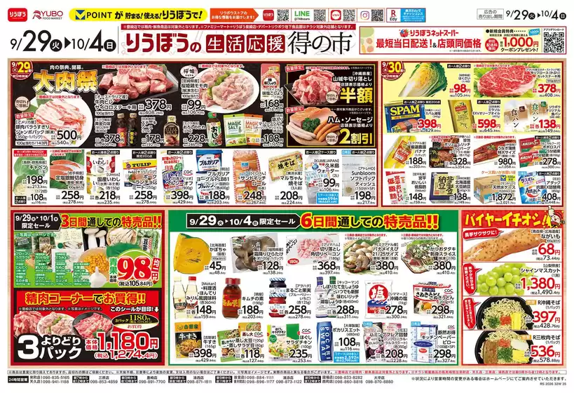 main_flyer image