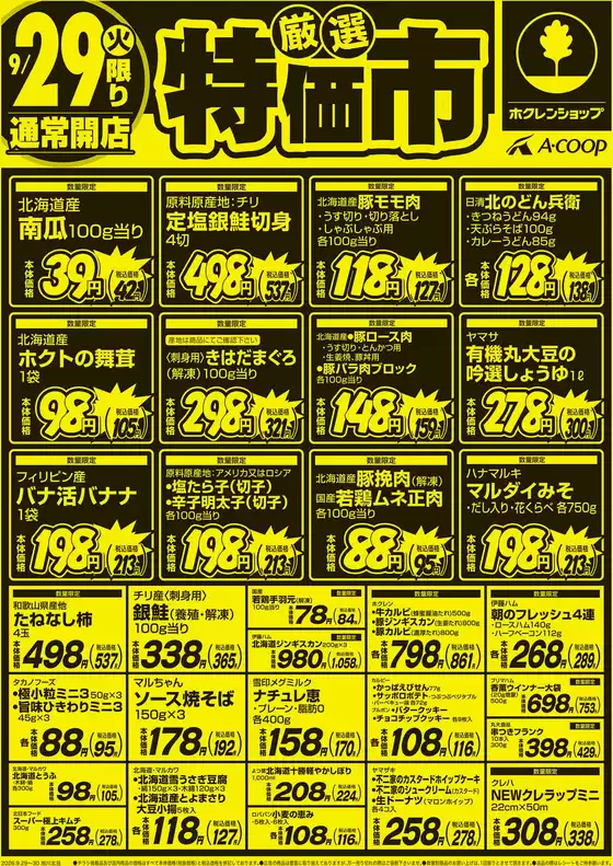 main_flyer image