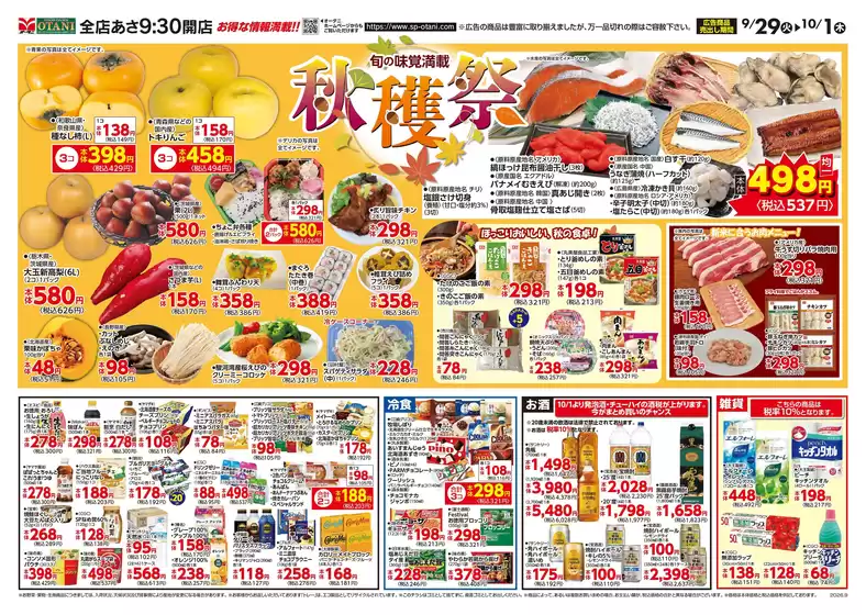 main_flyer image