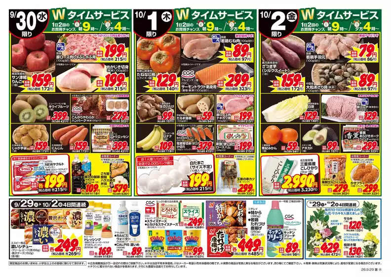 main_flyer image